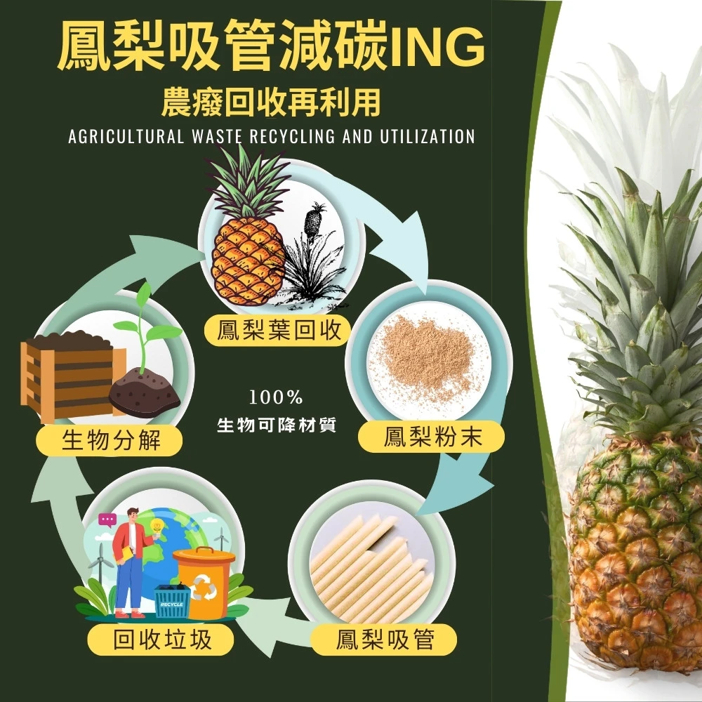 鳳梨纖維吸管品規格